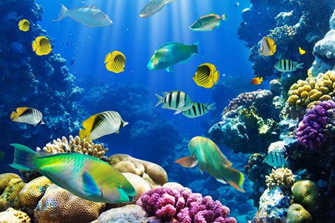 批发卡密商城的ddos网页端